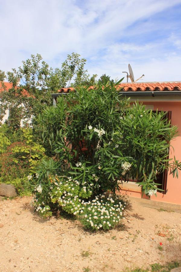 Apartments With A Parking Space Veli Losinj, Losinj - 8029 外观 照片