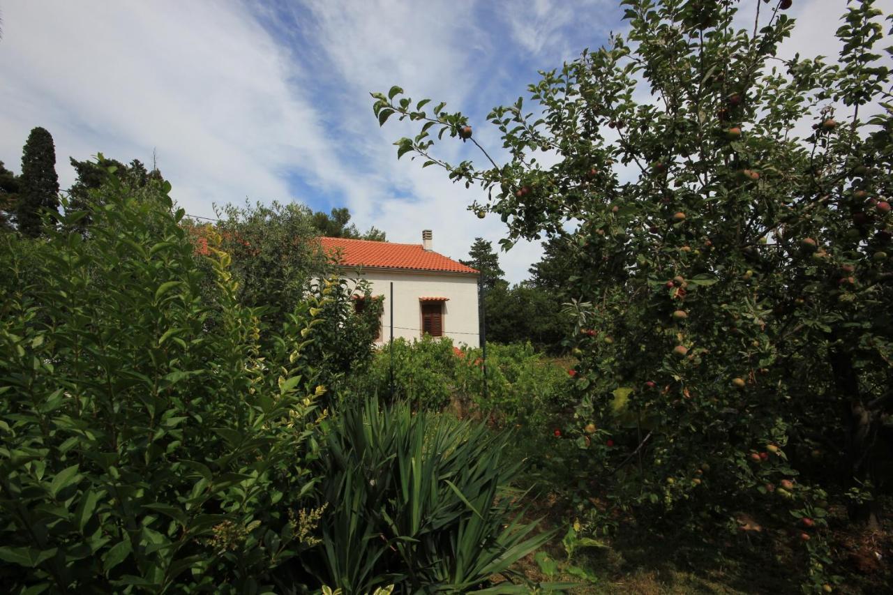 Apartments With A Parking Space Veli Losinj, Losinj - 8029 外观 照片
